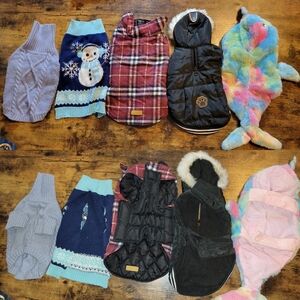 5 pcs Bundle Dog Sweaters + Jackets size S